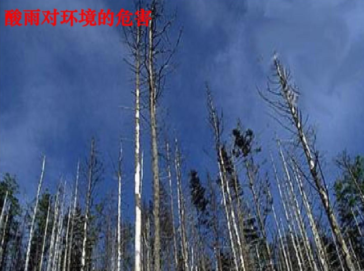 酸雨對環境的危害 酸雨對環境的危害